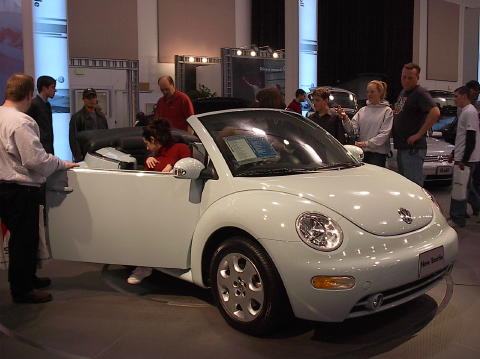 vwsunbeetle